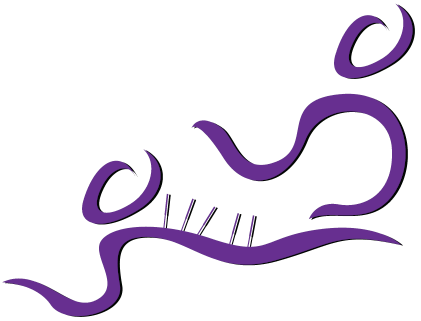 microkinesitherapie